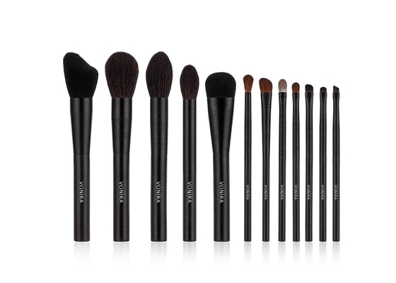 Brosse de lecture naturelle de maquillage de cheveux de Vegan 12pcs avec la poignée noire en métal de tréfilage